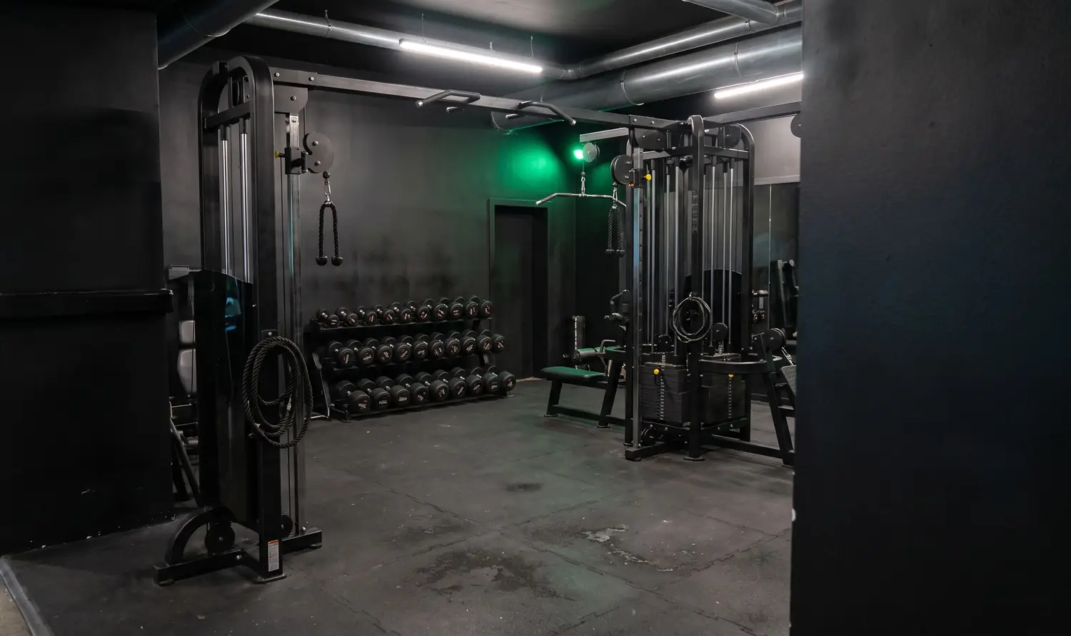 Sala pesi